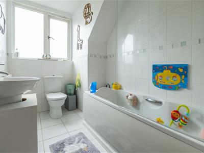 Picture 12